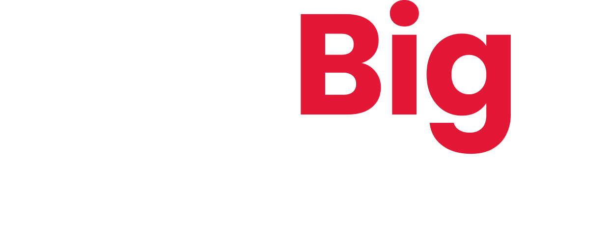 THE BIG THINKERS