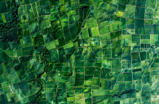 Advance Modal Components