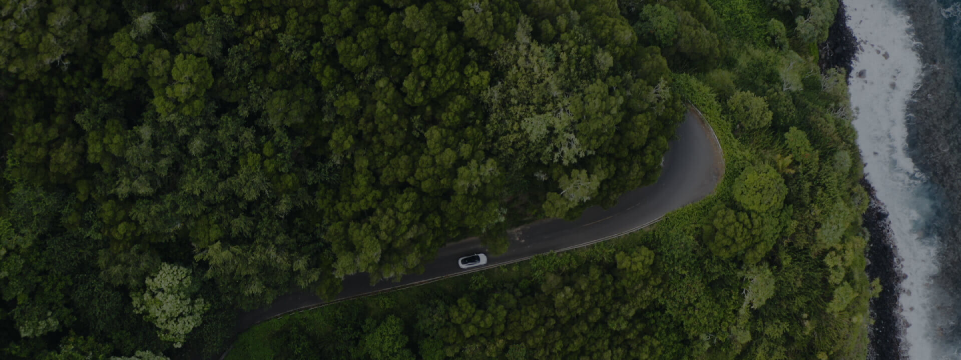 Sustainability  Video