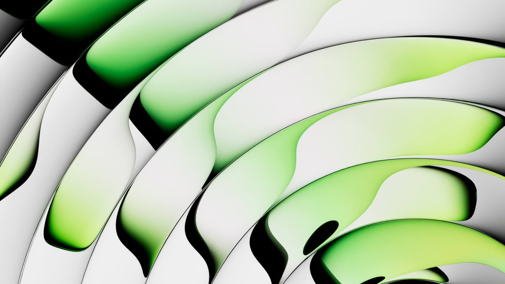 Experience Services Banner