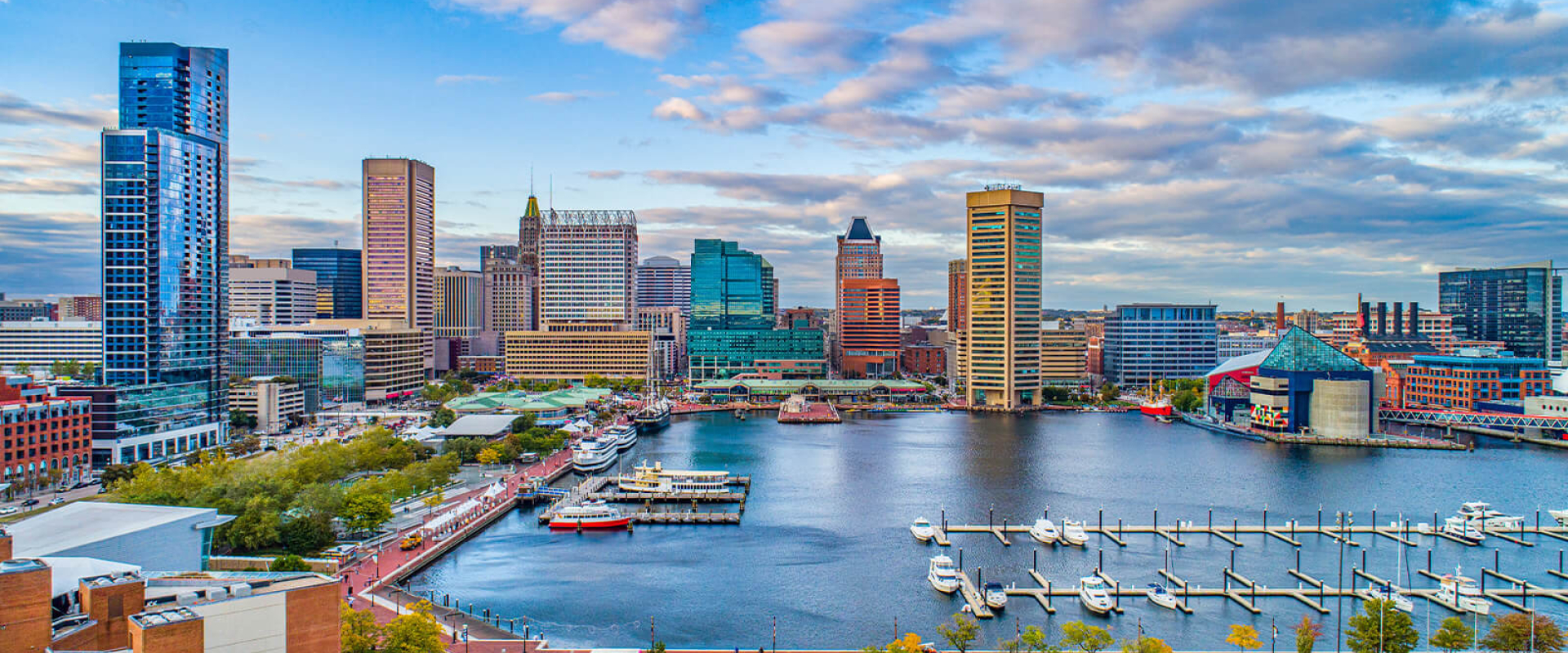 excelerate-solumina-banner