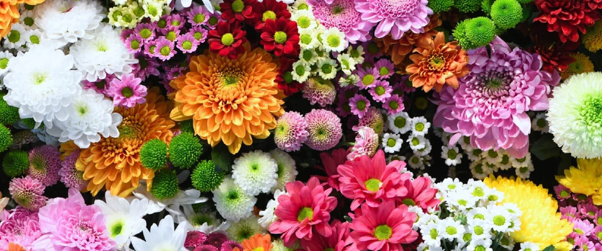 flowshow-banner