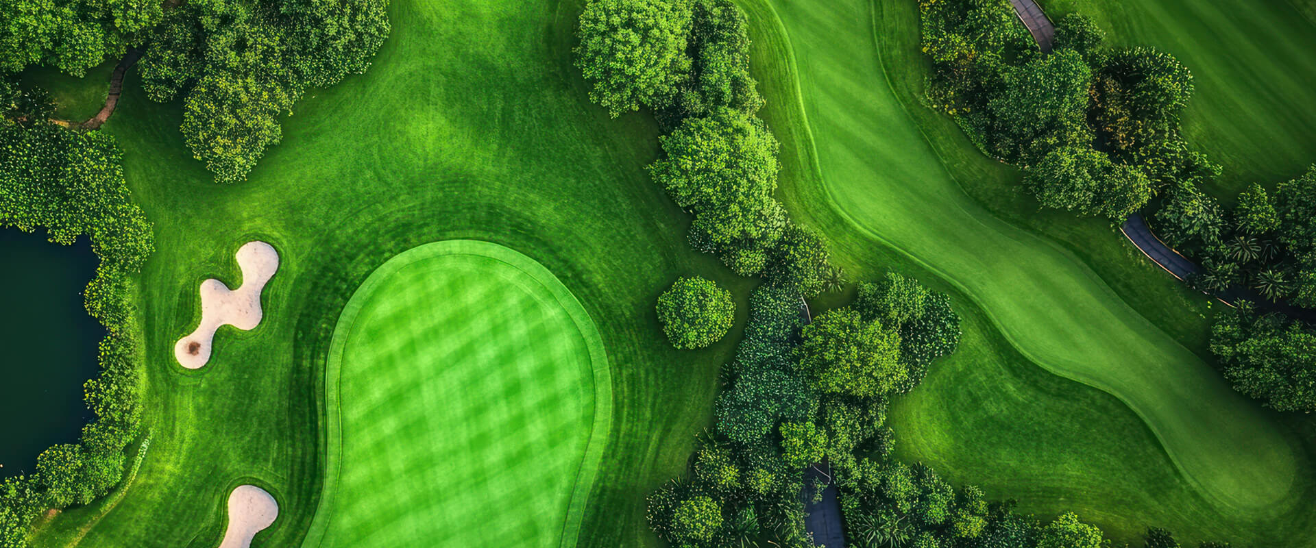 thinkforce-2025-banner