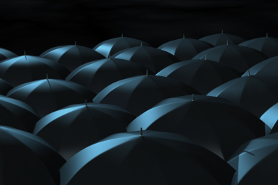 Image 33: Insurance