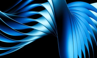 The