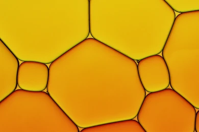 Oil and Gas
