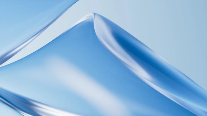 Legal Risk Management in the Digital Age