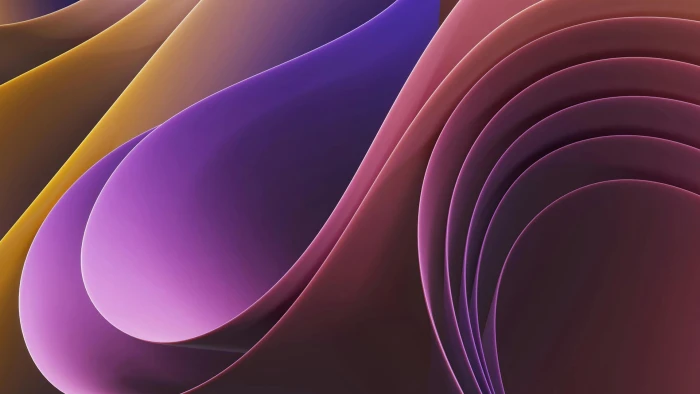 multicolor-curves-shaded-bg-banner