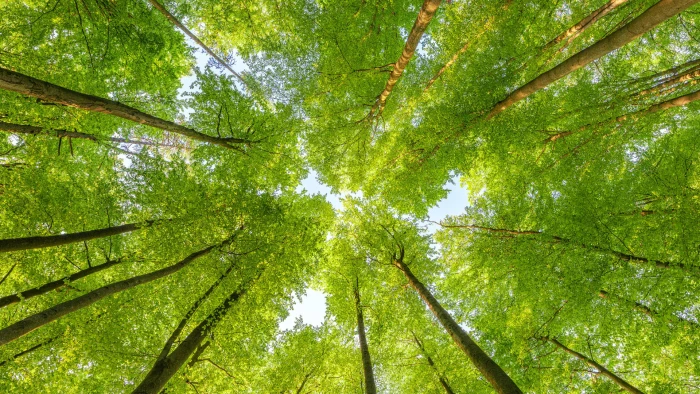 sustainability-blog-banner